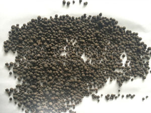 Organic Waste to Fertilizer Production Line (2)