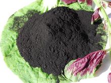 Introduction of Humic Acid Fertilizer