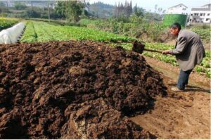 How to know when compost is ready to use?